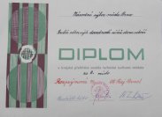 diplom 2