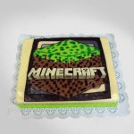 Dort Minecraft